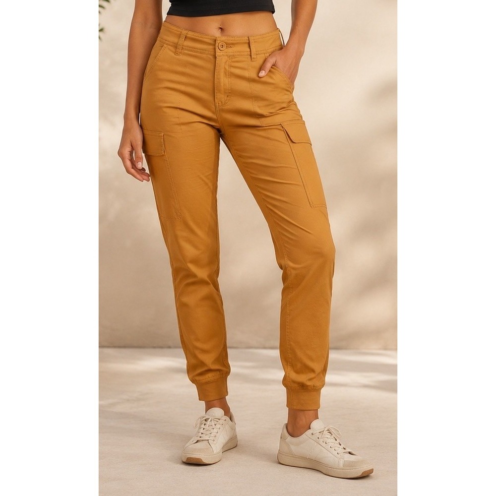 prAna Halle Jogger II Women's Size 4 Regular Earthbound Hiking Pants NWT